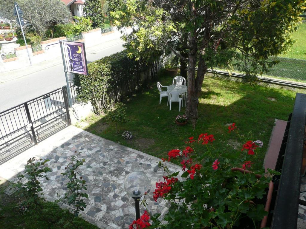 Bed and Breakfast Certe Notti Pisa Exterior foto